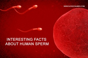 Interesting Facts About Human Sperm imageq